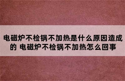 电磁炉不检锅不加热是什么原因造成的 电磁炉不检锅不加热怎么回事